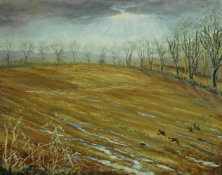 Winter Sun